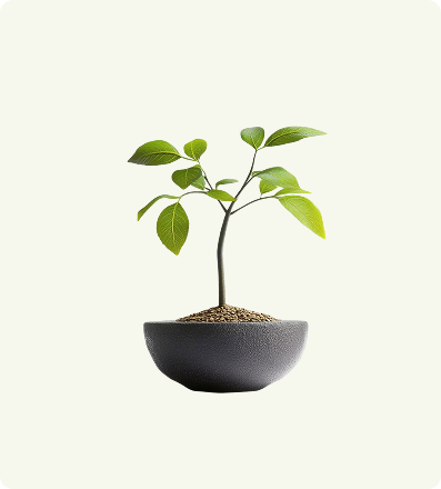 Mini Leaf Serenity