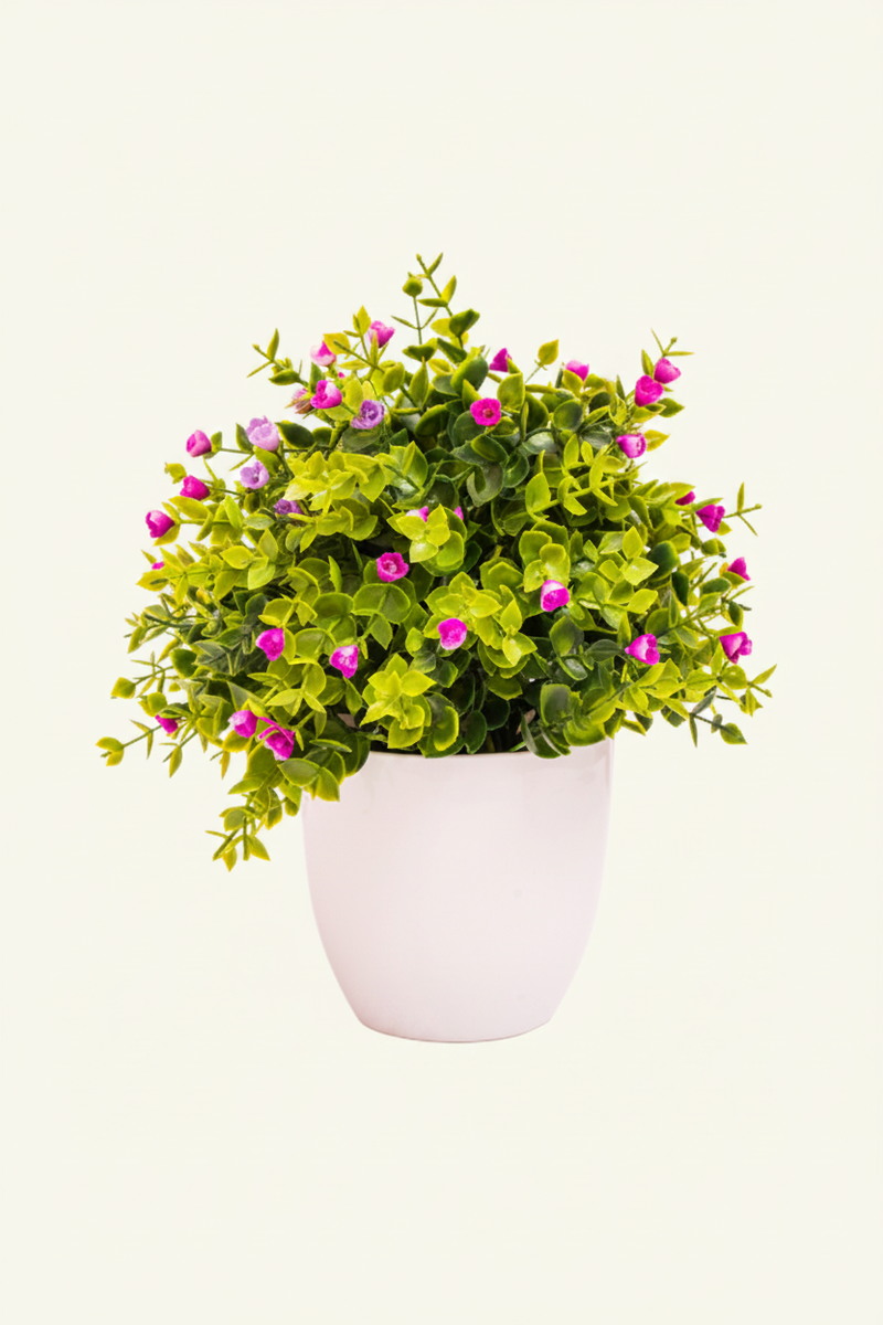 Blossom Glow Plant